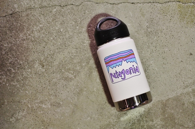 PATAGONIA Klean Kanteen Fitz Roy Bottle