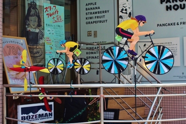 Premier Designs Wind Spinner