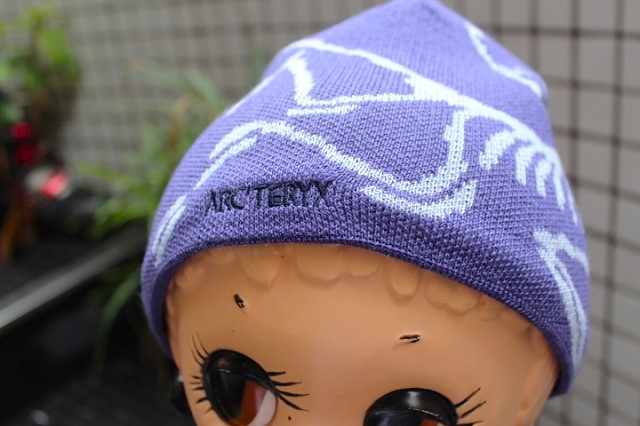 Arc'teryx Bird Head Toque