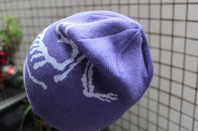 Arc'teryx Bird Head Toque