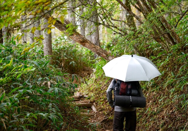 EVERNEW　SHADOW Master