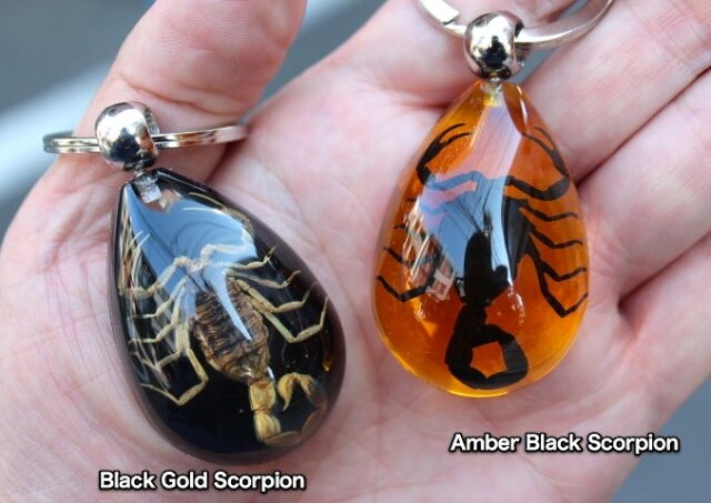 Real Bug