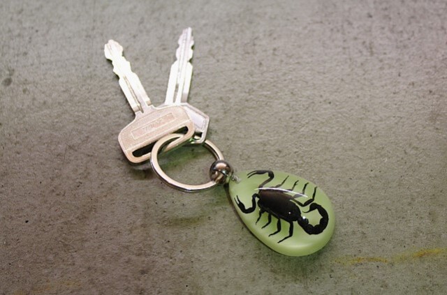 Real Bug