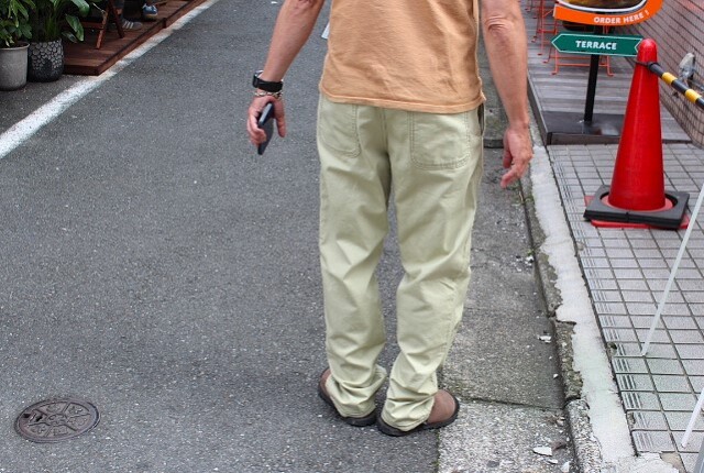 Patagonia Point Reyes Canvas Gi Pant