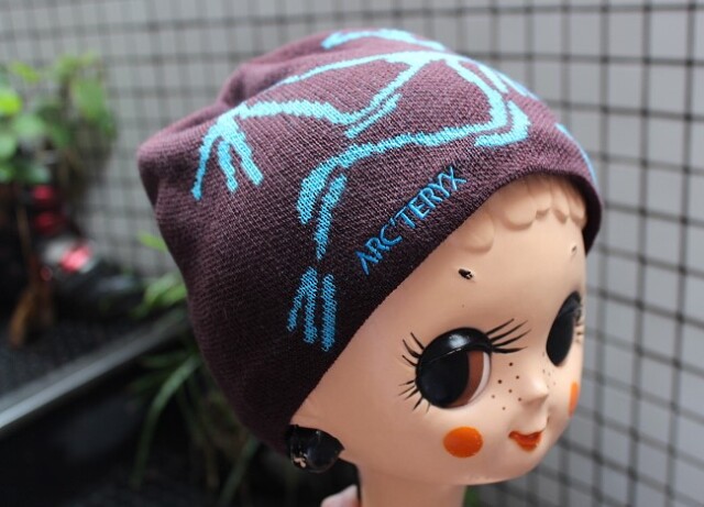 Arc'teryx Bird Head Toque