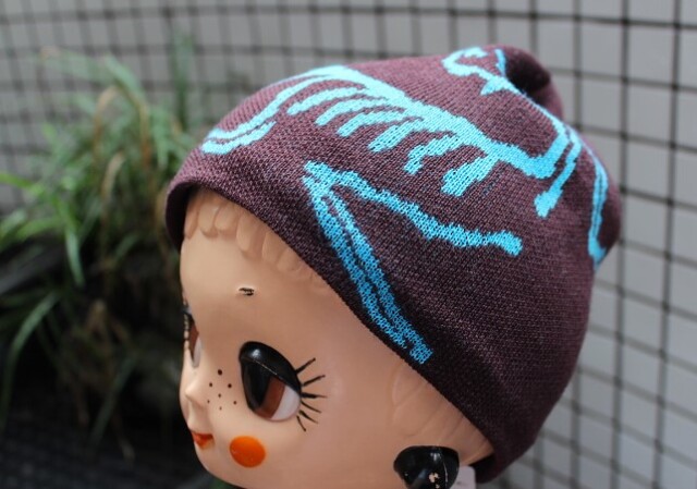 Arc'teryx Bird Head Toque