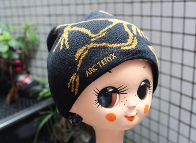 Arc'teryx Bird Head Toque
