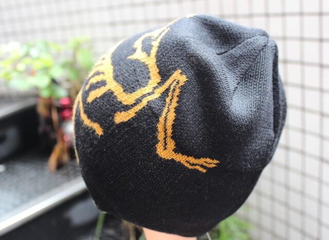 Arc'teryx Bird Head Toque