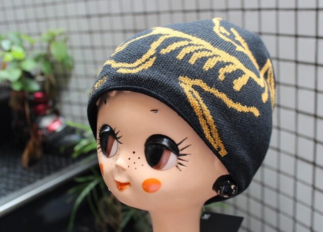 Arc'teryx Bird Head Toque