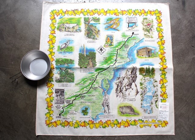 The Printed Image Bandana