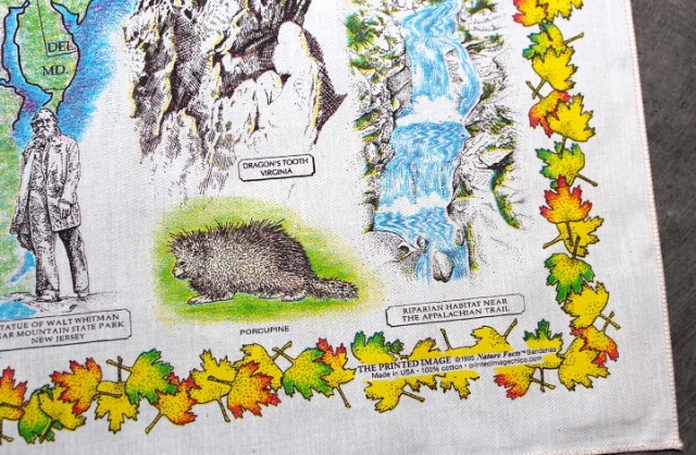 The Printed Image Bandana