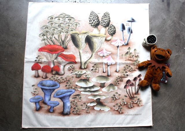 The Printed Image Bandana