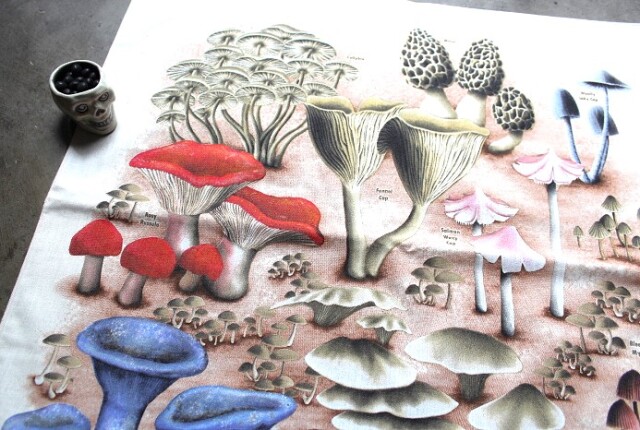 The Printed Image Bandana