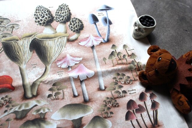 The Printed Image Bandana