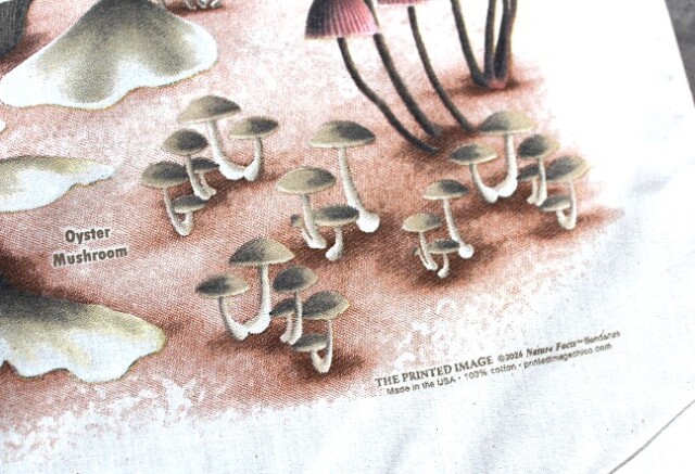 The Printed Image Bandana