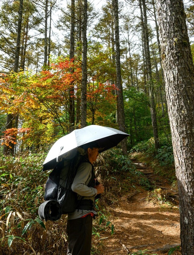 EVERNEW　SHADOW Master