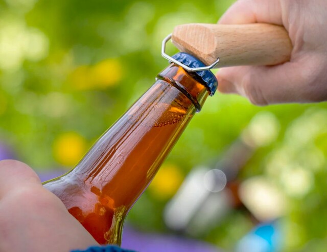 OPINEL No10 Corkscrew Bottle Opener