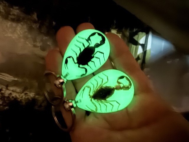 Real Bug