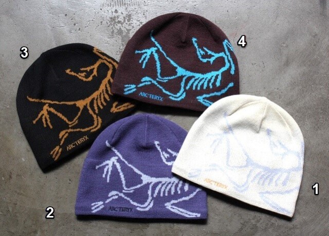 Arc'teryx Bird Head Toque