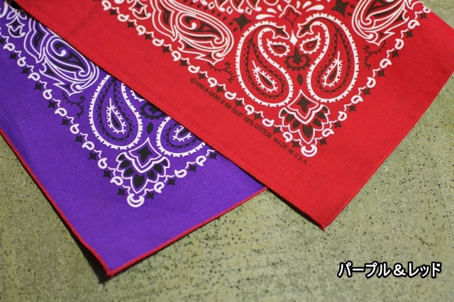 Reversible Bandanna