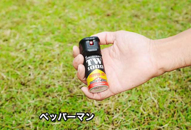 CARL HOERNECKE TW1000