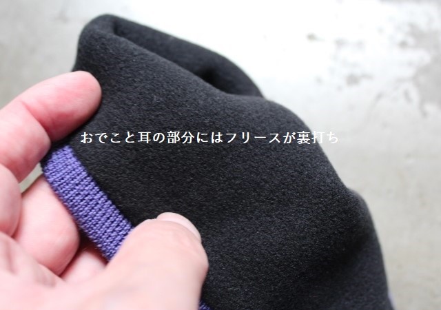 Arc'teryx Bird Head Toque