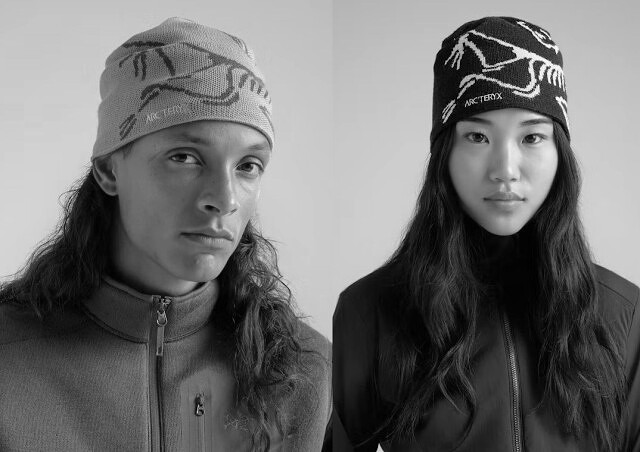 Arc'teryx Bird Head Toque
